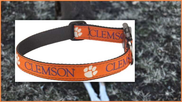 Clemson Dog Collar
