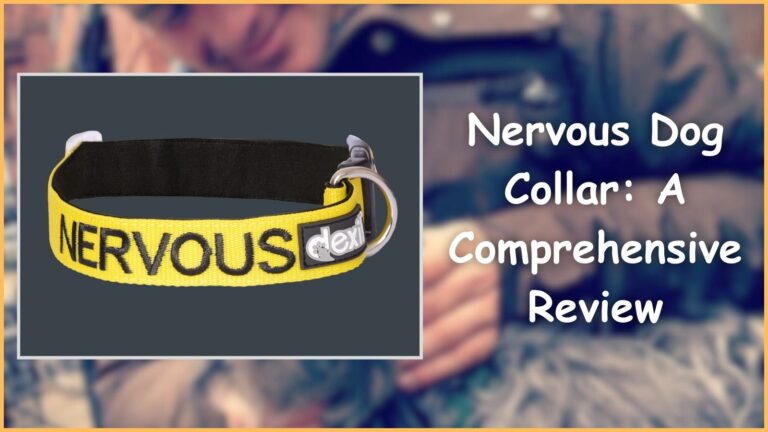 Nervous Dog Collar
