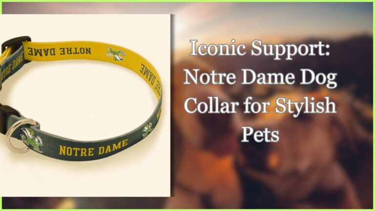 Notre Dame Dog Collar