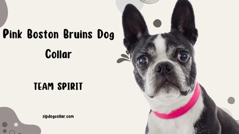 Pink Boston Bruins Dog Collar
