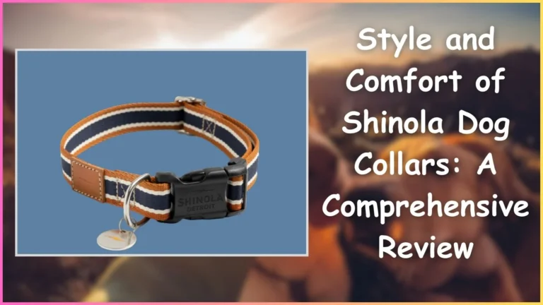 Shinola Dog Collars