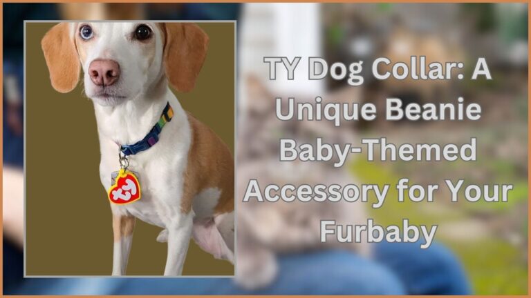TY Dog Collar