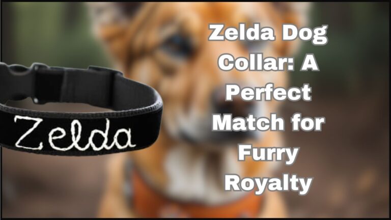 Zelda Dog Collar