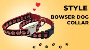 Bowser Dog Collar