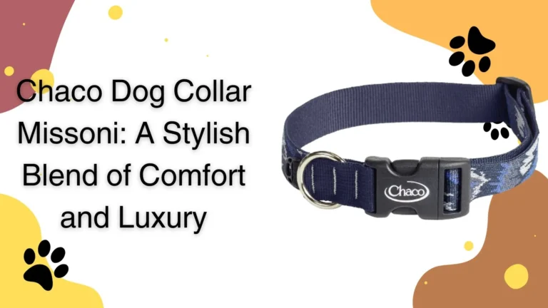 Chaco Dog Collar Missoni
