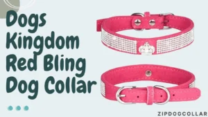 Dogs Kingdom Red Bling Dog Collar