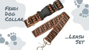 Fendi Dog Collar and Leash Set