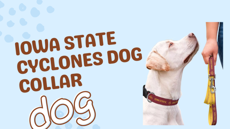Iowa State Cyclones Dog Collar