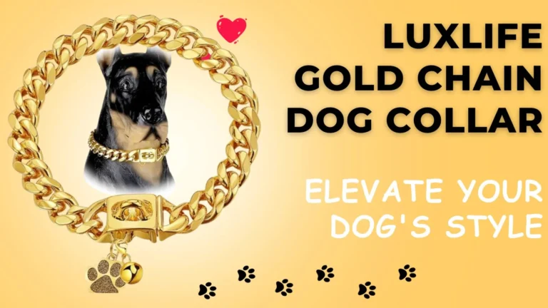LuxLife Gold Chain Dog Collar