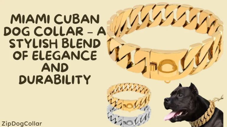 Miami Cuban Dog Collars