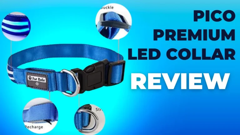 Pico Premium LED Collar