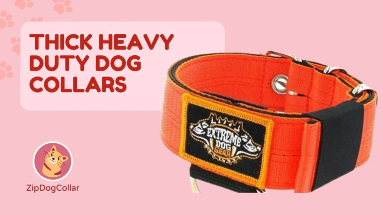 Thick Heavy Duty Dog Collars