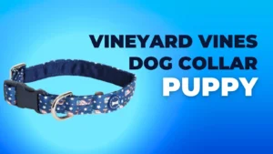 Vineyard Vines Dog Collar